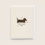 9 Card Collection