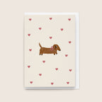 9 Card Collection
