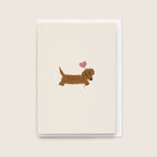 9 Card Collection