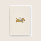 9 Card Collection